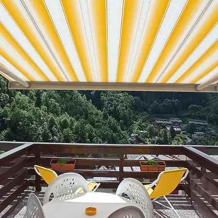 Sole *